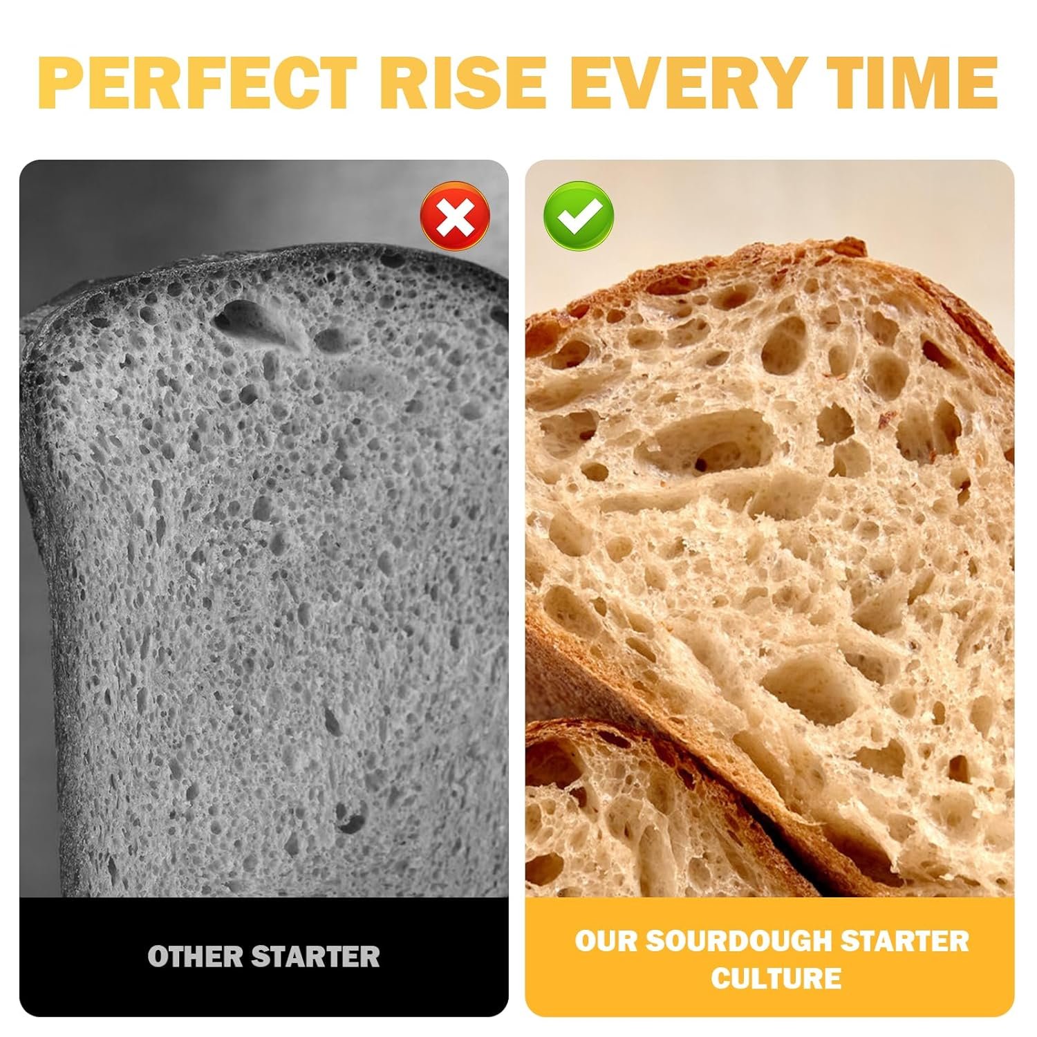 Dehydrated Sourdough Starter San Francisco Style, Fast Activation Sourdough Starter Culture, Sour Dough Starter,Homemade Artisan Bread for Beginner (10G) - Image 7