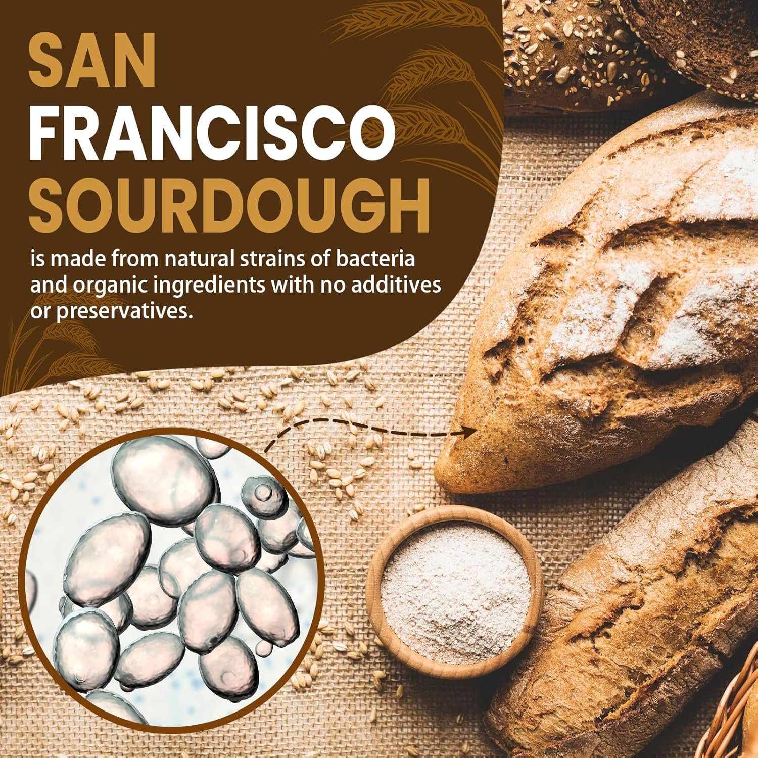 Dehydrated Sourdough Starter San Francisco Style, Fast Activation Sourdough Starter Culture, Sour Dough Starter,Homemade Artisan Bread for Beginner (10G) - Image 2