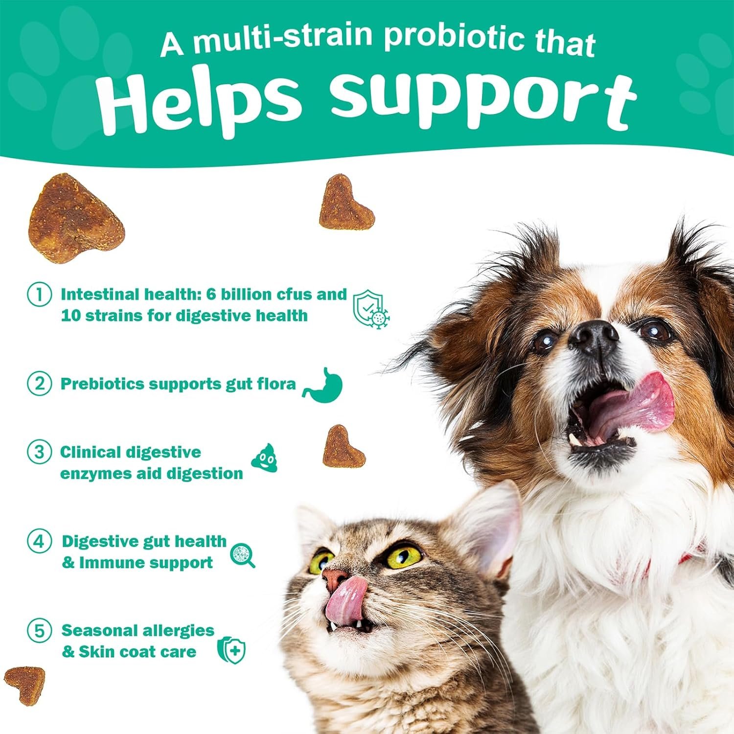 BIGHERO Probiotics for Dogs - Dog Probiotics with Prebiotics and Digestive Enzymes, Support Gut Health, Digestive & Immune Health, Dog Supplement for Diarrhea & Seasonal Allergies-180 Chicken Flavor - Image 5